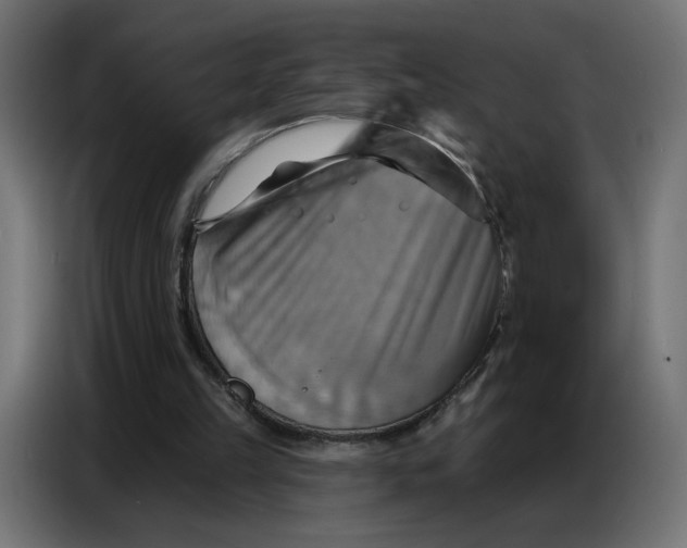 X0000086750149200705041434