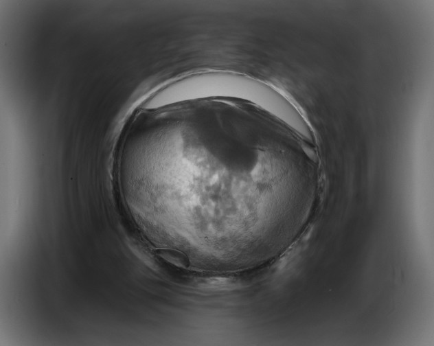 X0000086750151200705041434