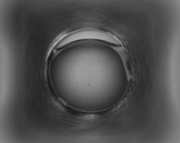 X0000086750152200705041434