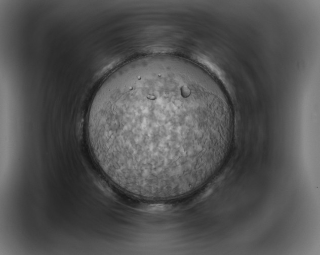 X0000086750153200705041434