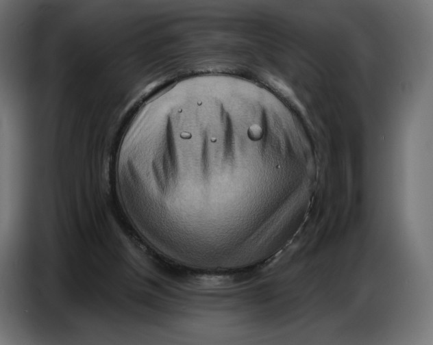 X0000086750154200705041434