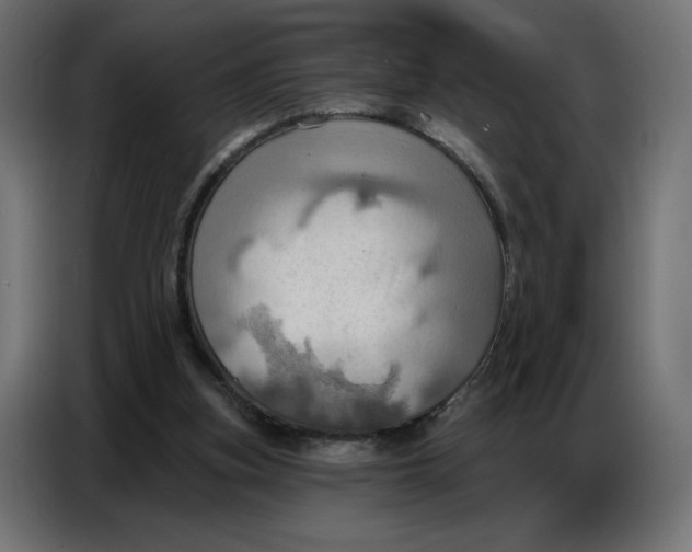 X0000086750155200705041434