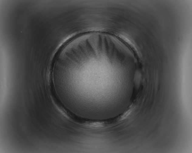 X0000086750156200705041434