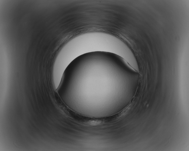 X0000086750158200705041434