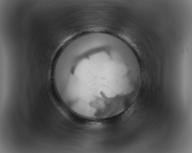 X0000086750159200705041434