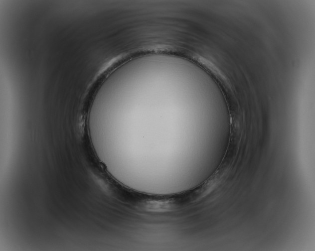 X0000086750160200705041434