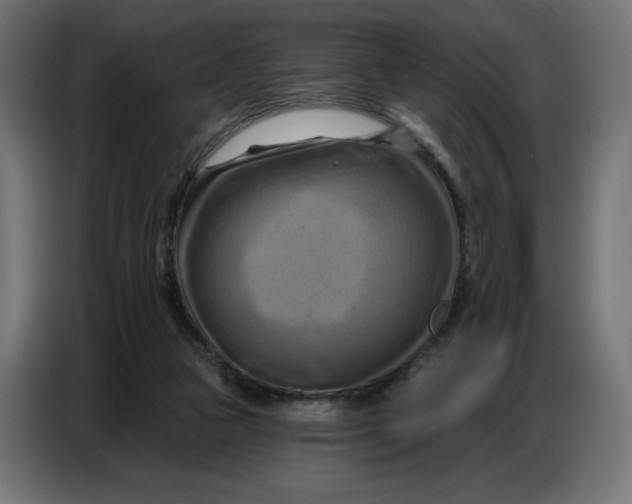 X0000086750161200705041434