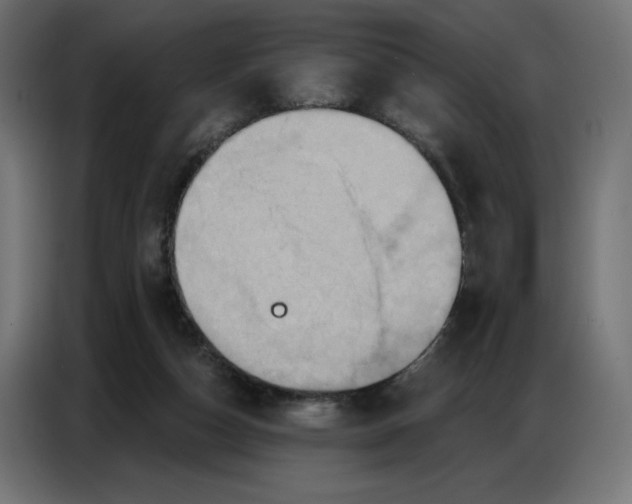 X0000086750162200705041434