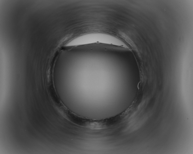 X0000086750163200705041434