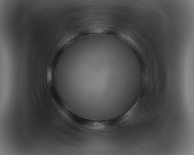 X0000086750166200705041434