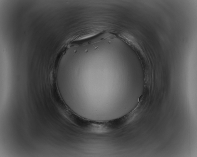 X0000086750167200705041434