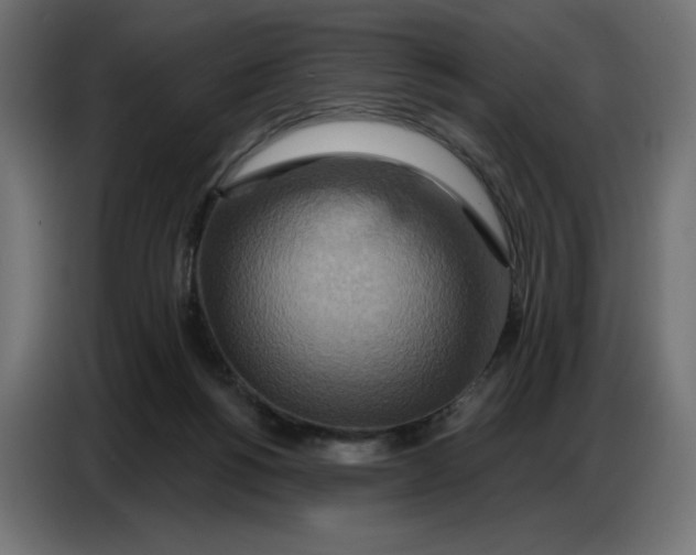 X0000086750168200705041434