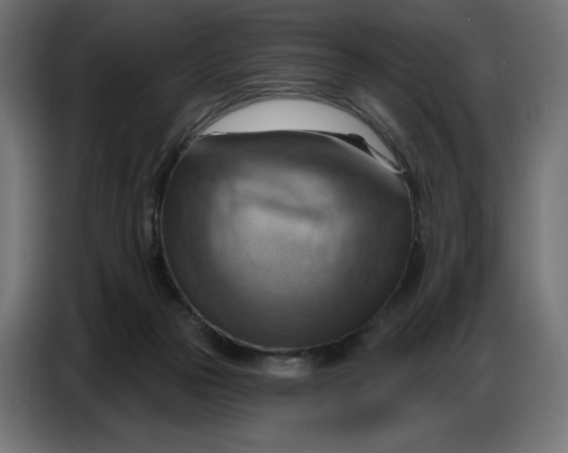 X0000086750169200705041434