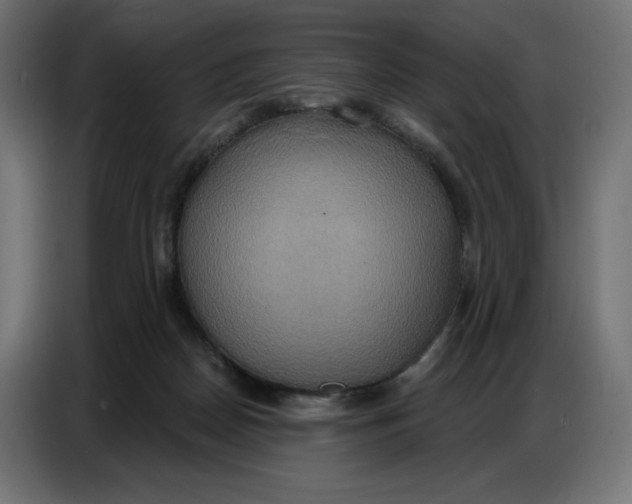 X0000086750170200705041434