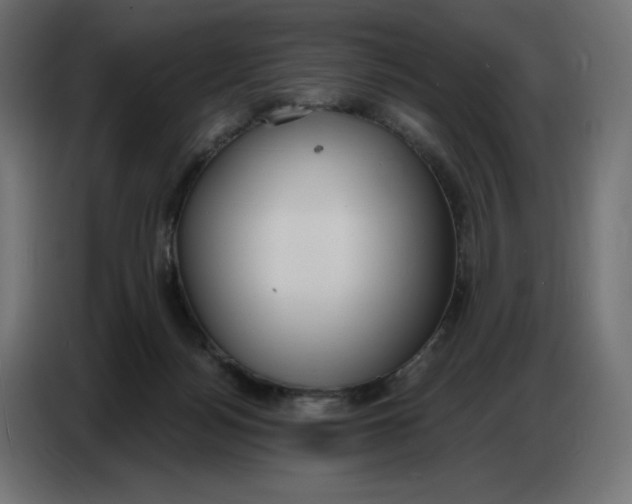 X0000086750172200705041434