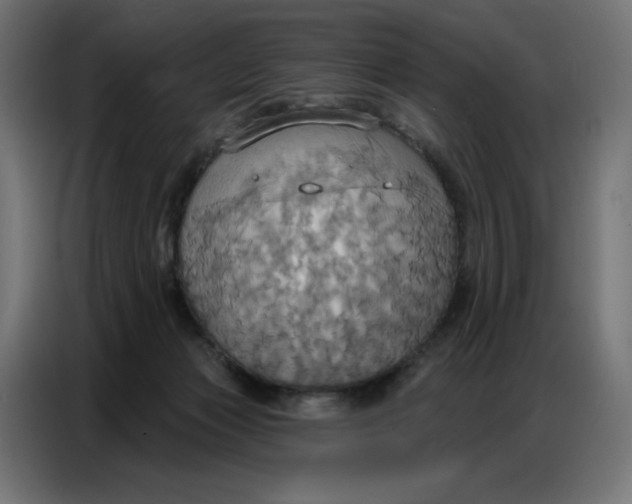 X0000086750173200705041434