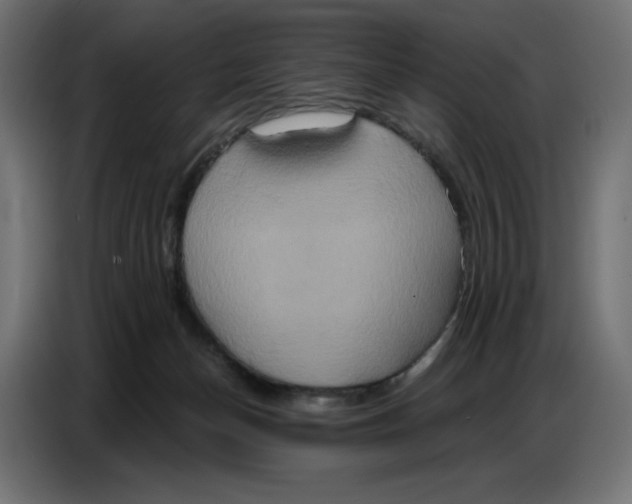 X0000086750174200705041434