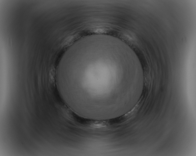 X0000086750175200705041434