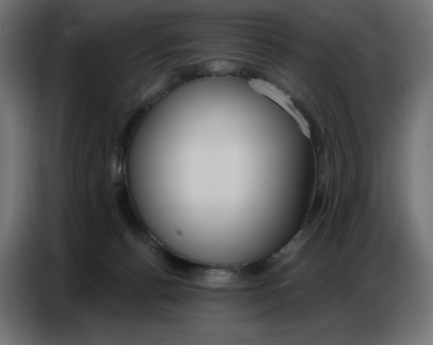 X0000086750176200705041434