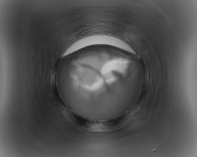 X0000086750177200705041434