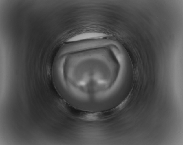 X0000086750178200705041434