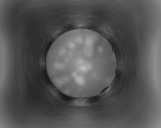 X0000086750179200705041434