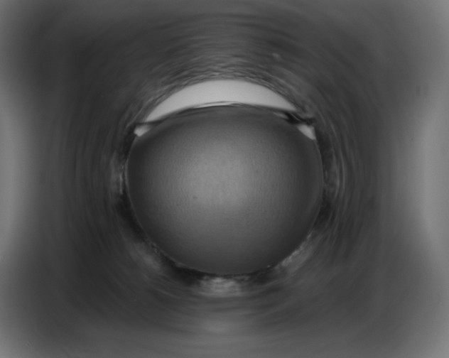 X0000086750180200705041434