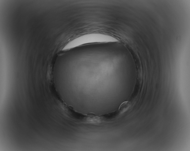 X0000086750181200705041434