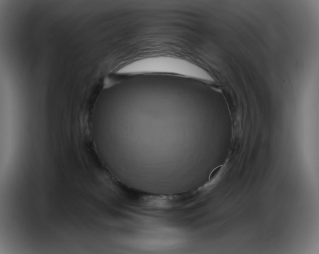 X0000086750182200705041435