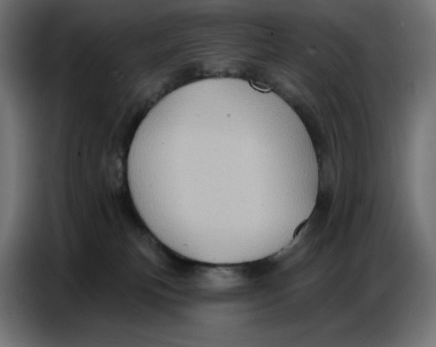 X0000086750183200705041435