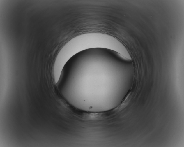 X0000086750184200705041435