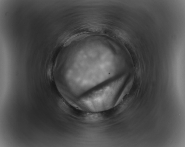 X0000086750185200705041435