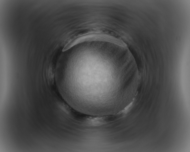 X0000086750186200705041435