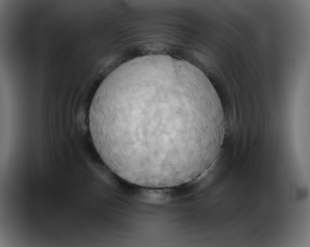 X0000086750187200705041435