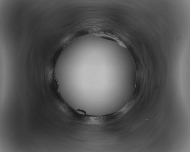 X0000086750188200705041435