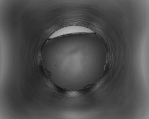 X0000086750189200705041435