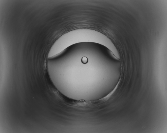 X0000086750190200705041435