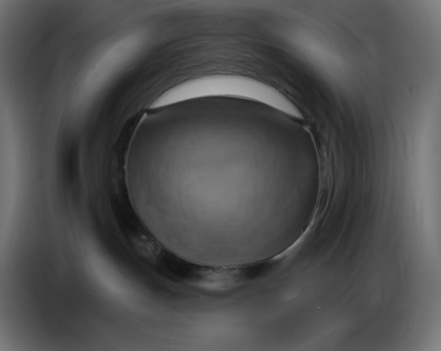 X0000086750191200705041435