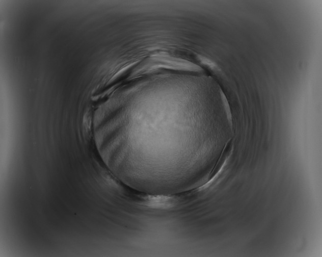 X0000086750192200705041435