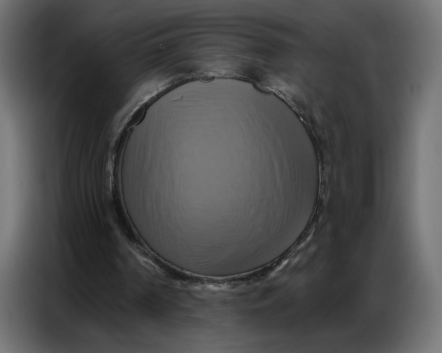 X0000086750194200705041434