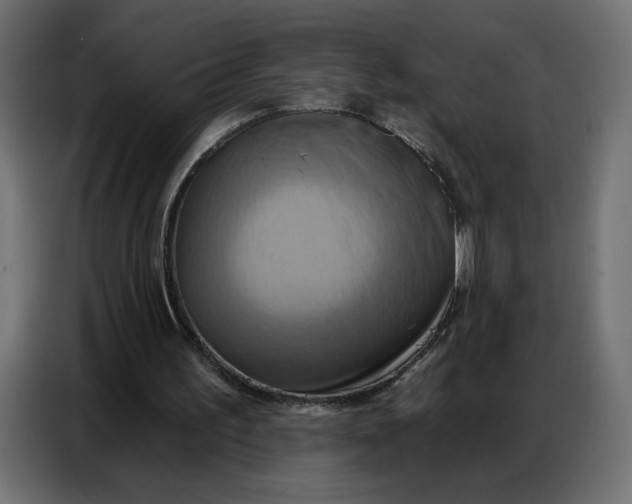 X0000086750195200705041434