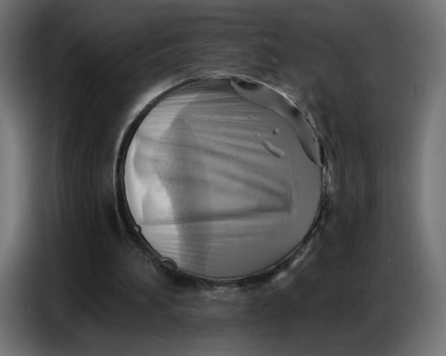 X0000086750196200705041434