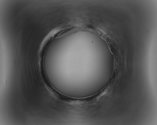 X0000086750197200705041434