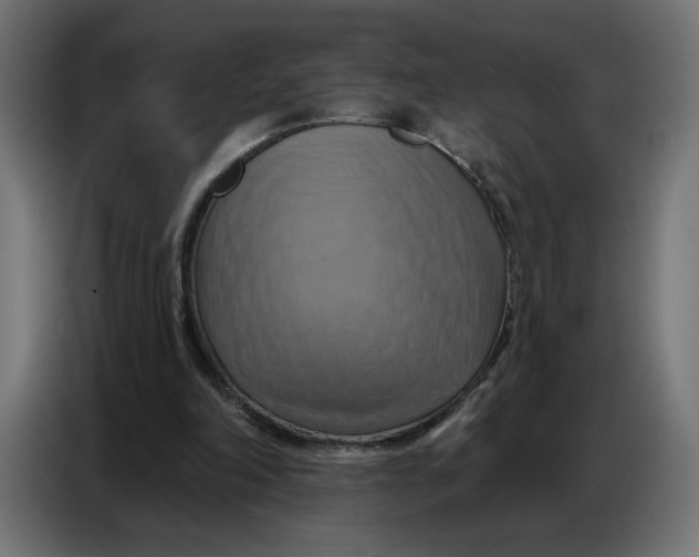 X0000086750198200705041434