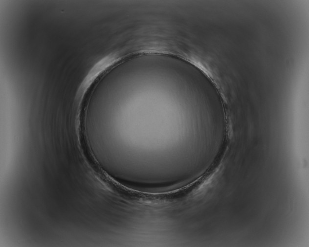 X0000086750199200705041434