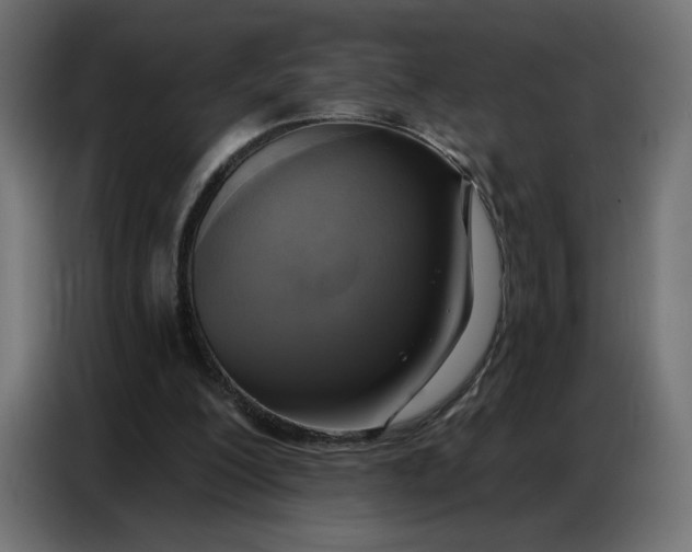 X0000086750200200705041434