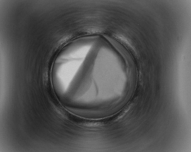 X0000086750202200705041434