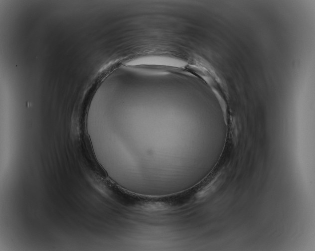 X0000086750203200705041434