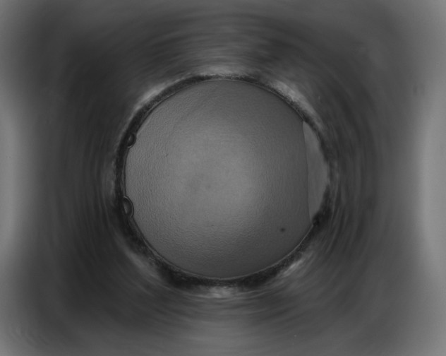 X0000086750204200705041434