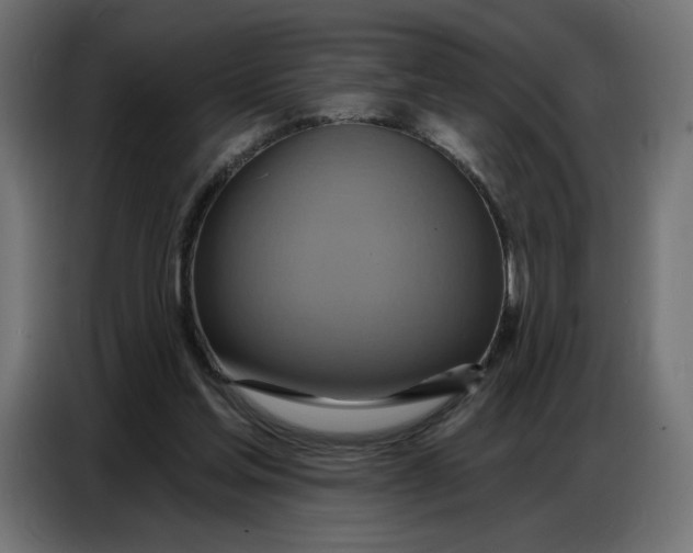 X0000086750205200705041434